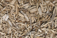 biomass boilers Beaufort